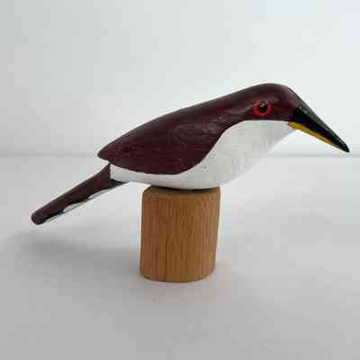 Raincrow (Yellow-Billed Cuckoo)