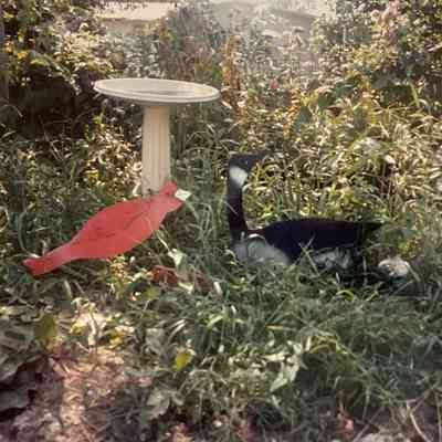 YARD ORNAMENT