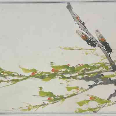 CICADA ON WILLOW