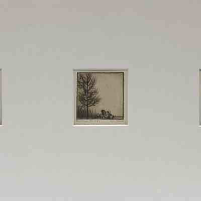 LANDSCAPE SUITE #1