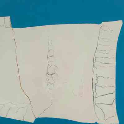 HAMMERHEAD SHARK