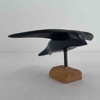 Purple Martin