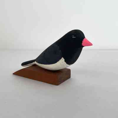 Junco