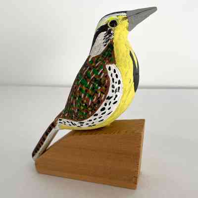 Meadow Lark