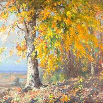 BIRCH TREE
