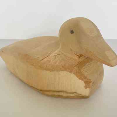 WOOD DUCK