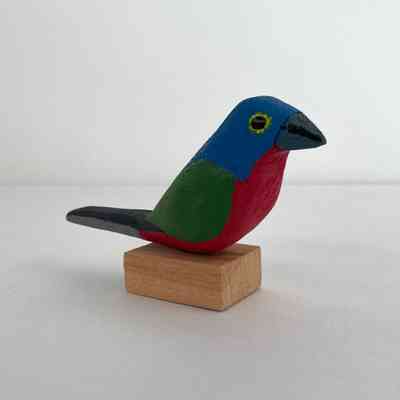 Painted Bunting (MALE)