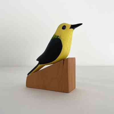 Prothonotary Warbler