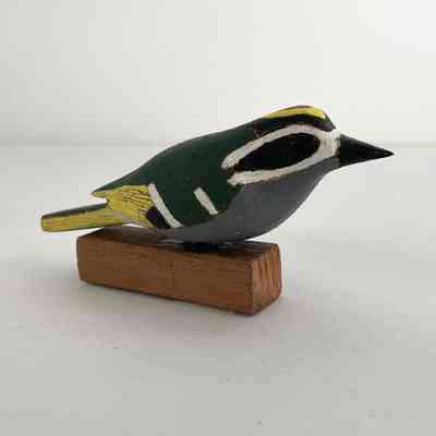 Golden Crowned Kinglet