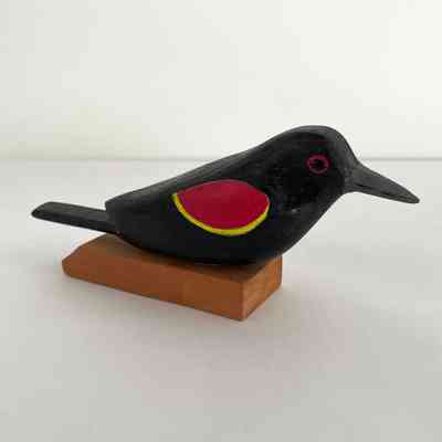 Red-Winged Blackbird