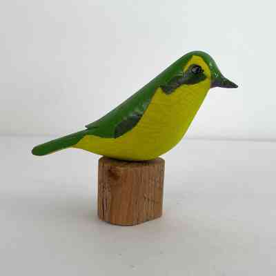 Kentucky Warbler