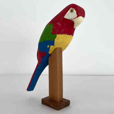 Macaw