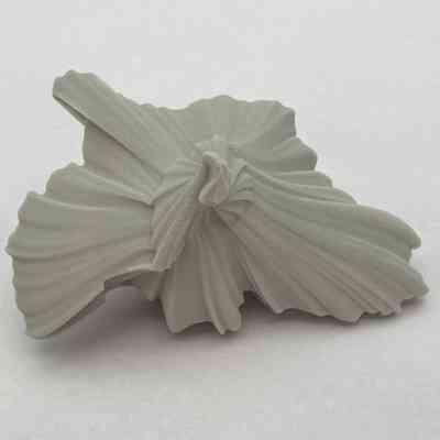 Mollusc_1