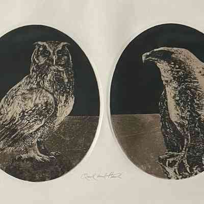 OWL AND HAWK
