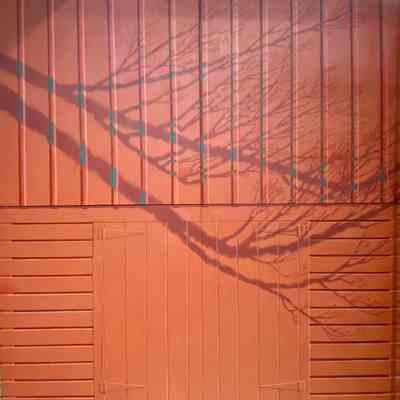 RED BARN- YANG & YIN