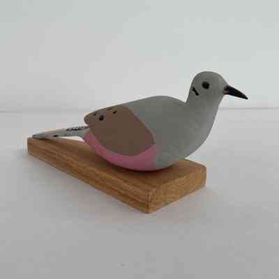 Mourning Dove