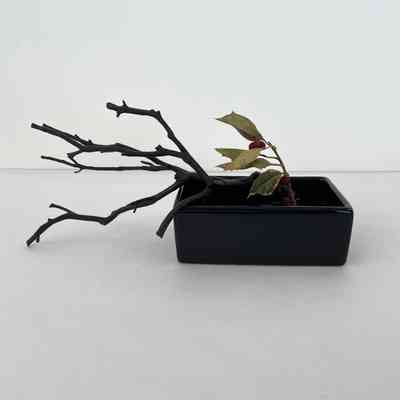 Ikebana Kit