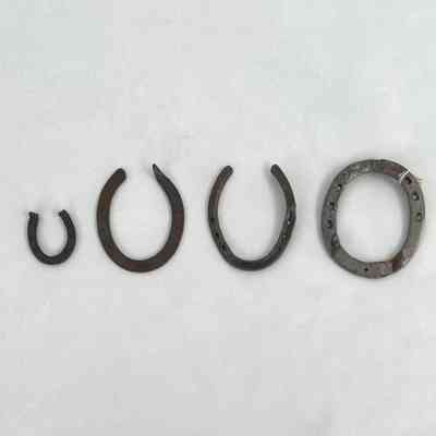 FOUR HORSESHOES