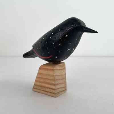 Starling