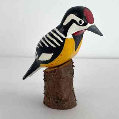 Yellow-Bellied Sapsucker