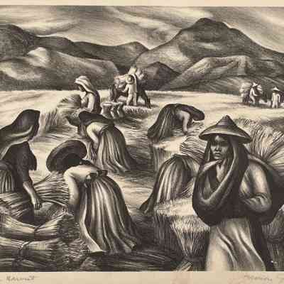 MEXICAN HARVEST