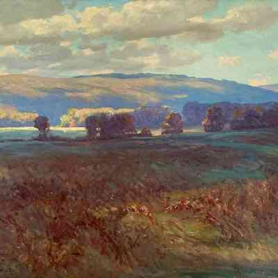 CLOUD SHADOWS