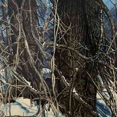 TREE SONG