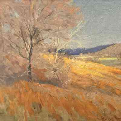 A SUNNY HILLSIDE