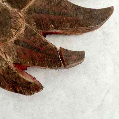 broken wing piece