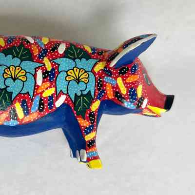 UNKNOWN (PIG)