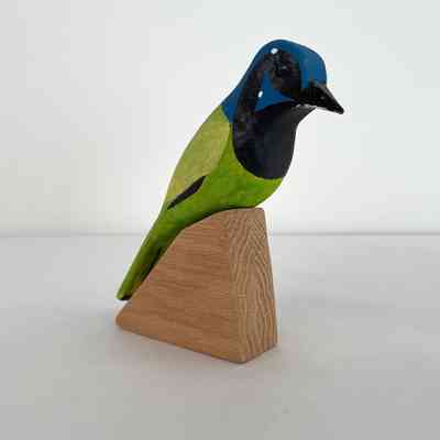 Greene Jay