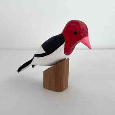 Red-Headed Woodpecker