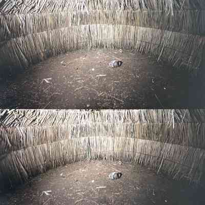 HC2. Fig. 4. First chamber with juncus walls.