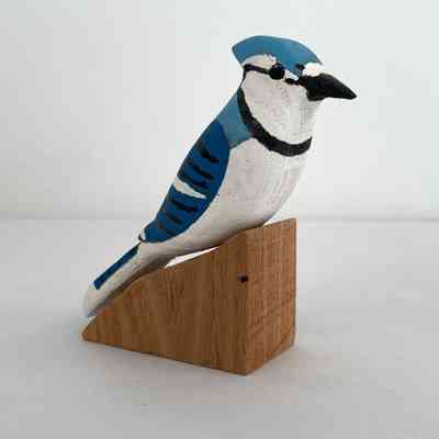 Bluejay
