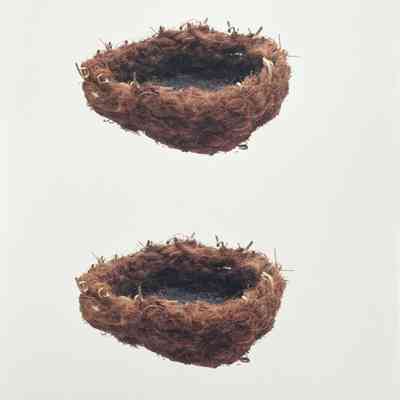 HC3. Fig. 2. Swamp grass and rattan basket with sea lion whiskers asphaltum.