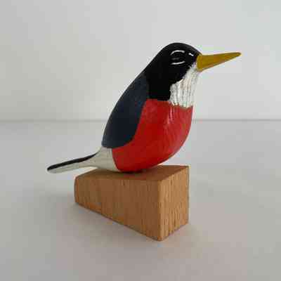 Robin