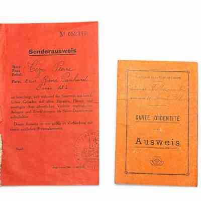 Lot of two Ausweis