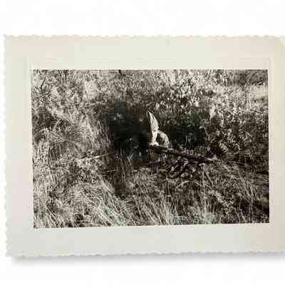 German soldier with MG 34 machine gun