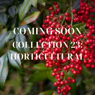 Representative image for Collection 23: Horticultural folder