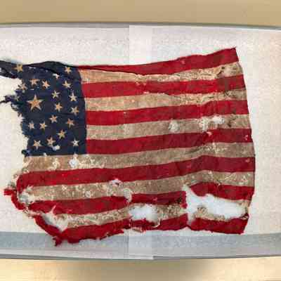 1877 Concentric Circle Designs Flag