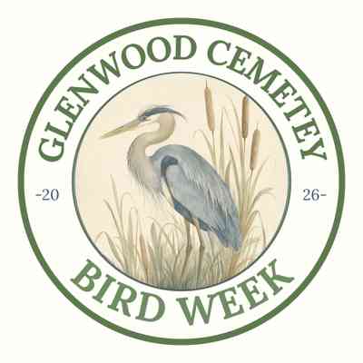 Representative image for Houston Bird Week - Hidden Wings at Glenwood -  September 23, 2026 folder