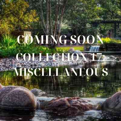 Representative image for Collection 17: Miscellaneous folder