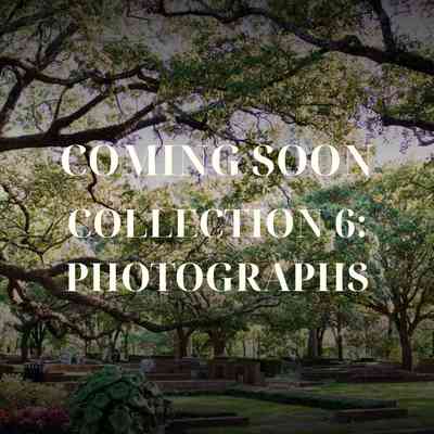 Representative image for Collection 06: Photographs folder