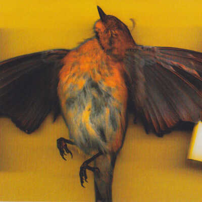 2003 Faculty Work