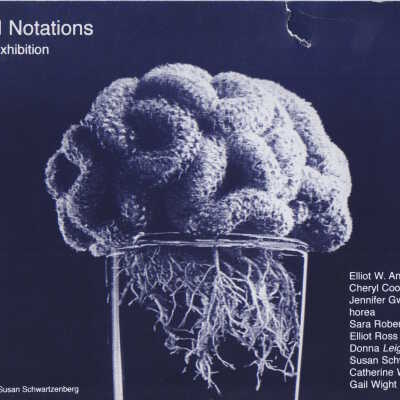 2000, Neural Notations, a group exhibition