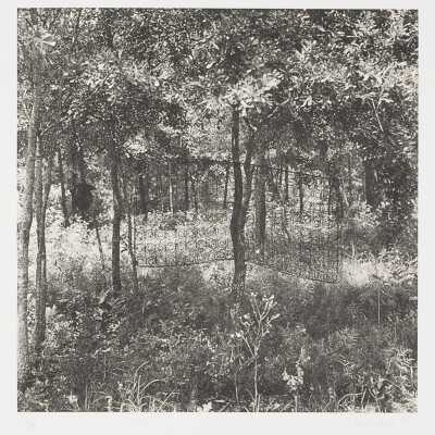 Untitled (Box Spring in Tree)