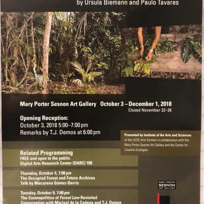 2018 Forest Law: Ursula Biemann and Paulo Tavares
