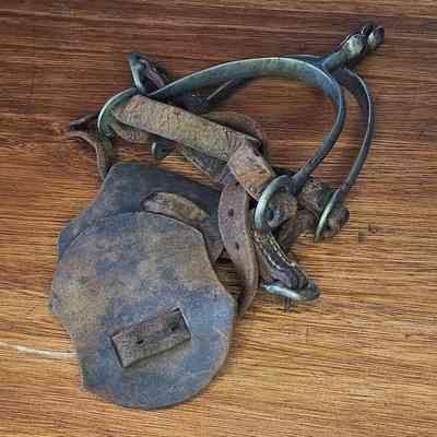 Second Boer War - Spurs belonging to Field Cornet Jan Hendrik Olivier