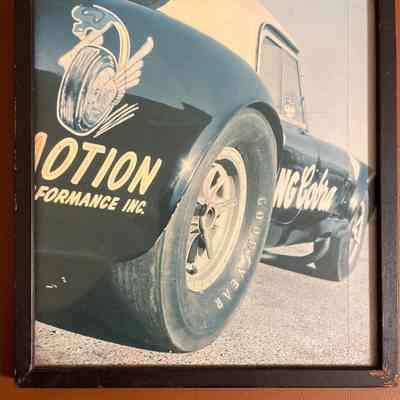 King Cobra framed photo