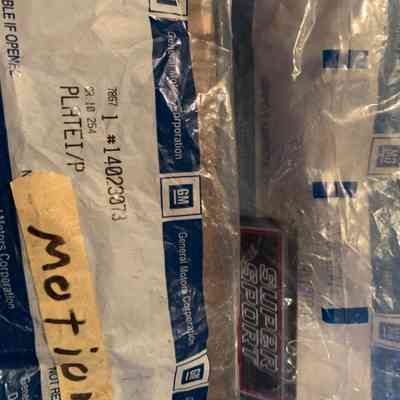 PN14023073 NOS in bags possibly 81-87 elcamino (1 bag marked Motion)